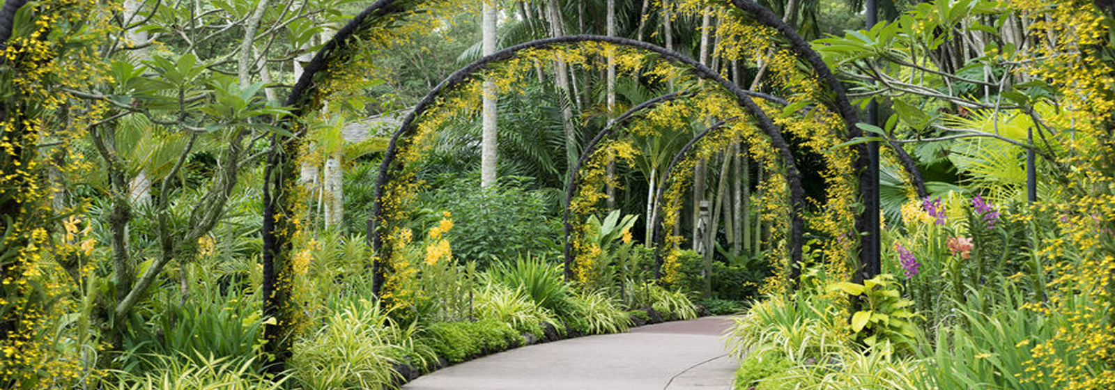 McKee Botanical Garden