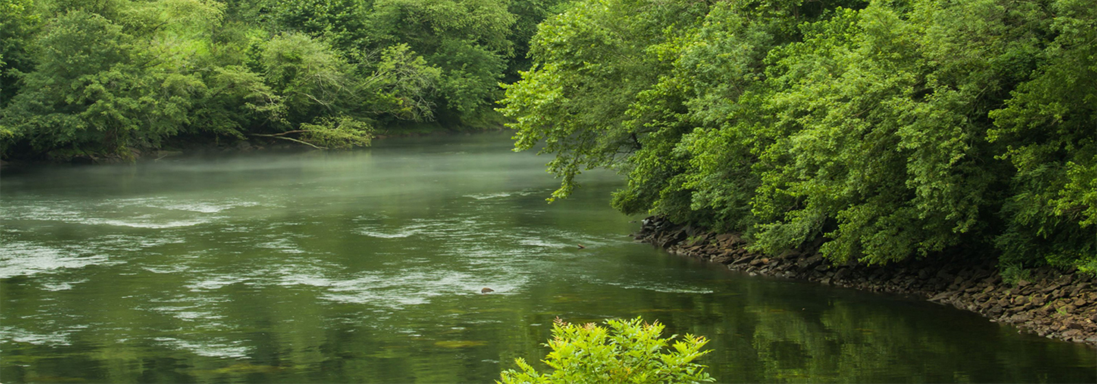 Indian River County Wetlands
